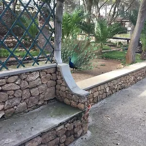 https://16-porto-santo-apartments.madeira-islandshotels.com